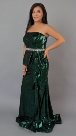 woman posing in the long evening gown green colour made of sequin material